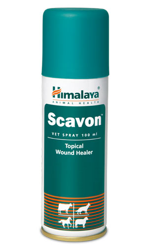 Himalaya Veterinary Scavon Vet Spray
