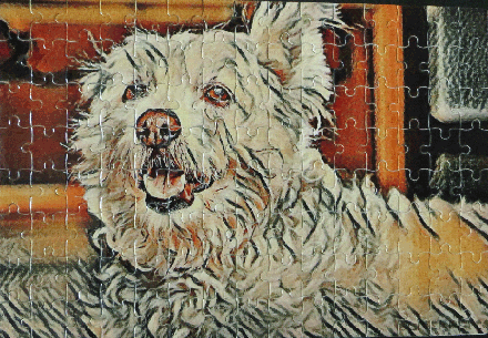 fluffy dog jigsaw puzzle