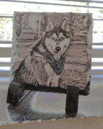 Husky photos and art in India