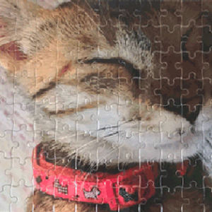 Sleepy cat jigsaw puzzle