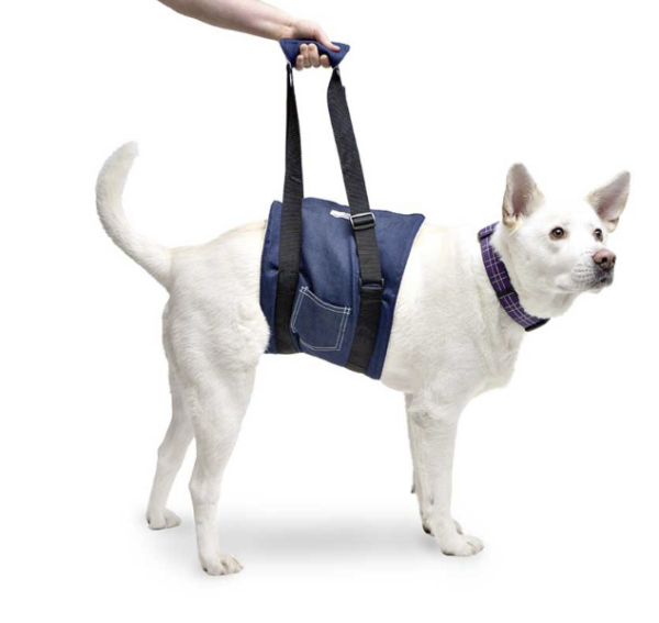 dog support sling
