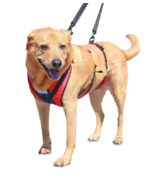 lift harness for paralysed dog