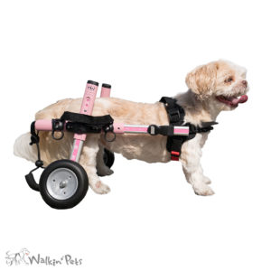 Small Dog Wheelchair