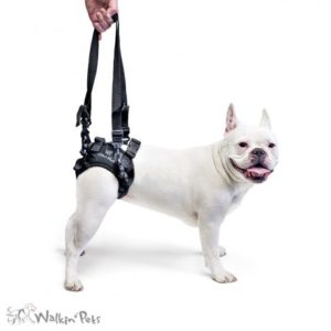 lift harness dog