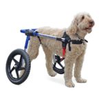 medium dog wheelchair