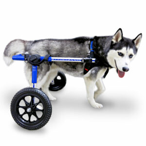doggy wheelchair