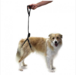 Rear Support Harness for Dogs