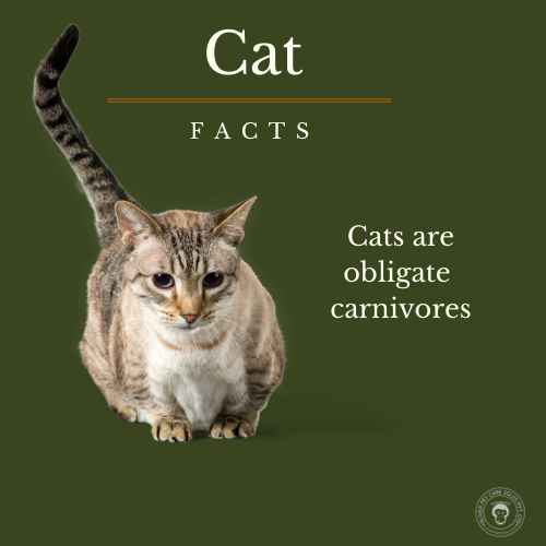 cat is an  obligate carnivore 