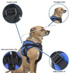harness for blind dog