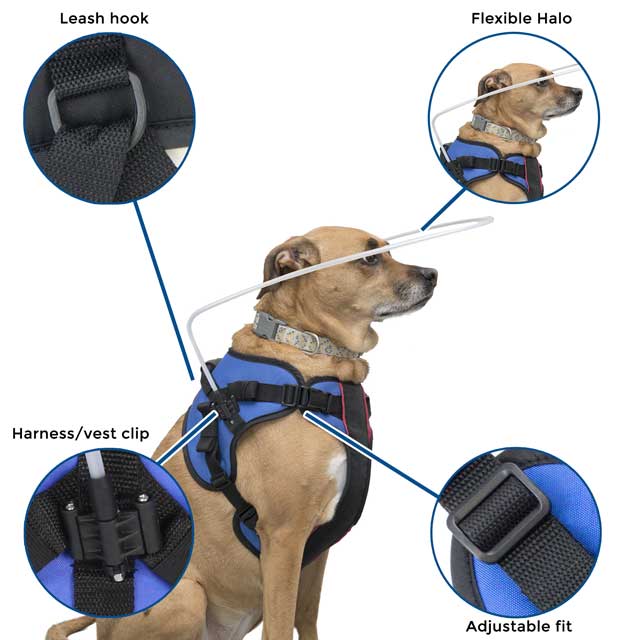 GabeFish Lightweight Adjustable Blind Halo for Dogs Cats Pet Harness Guide Device