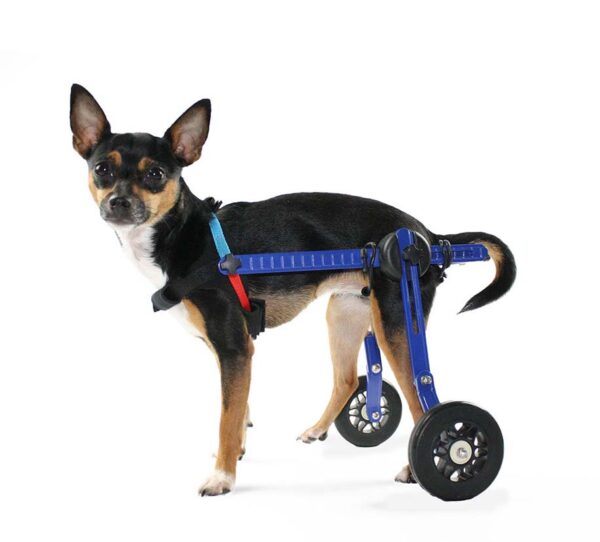 Mini wheelchair for cats