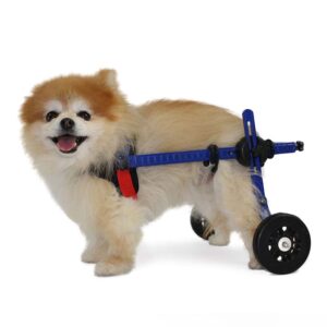 wheelchair for puppy online India