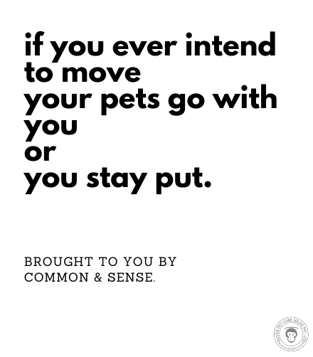 move with your pets