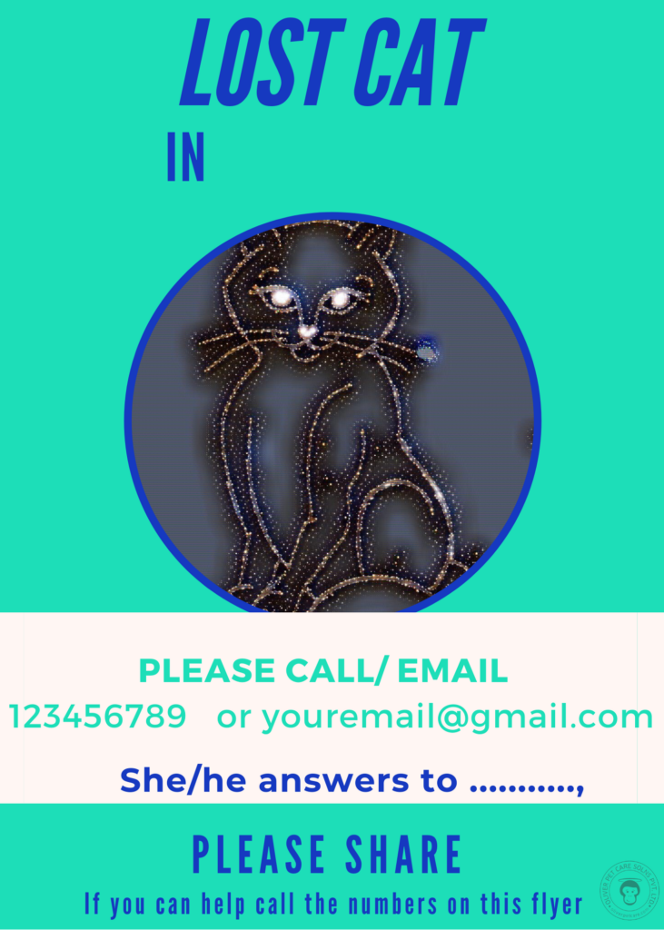 Lost cat poster 