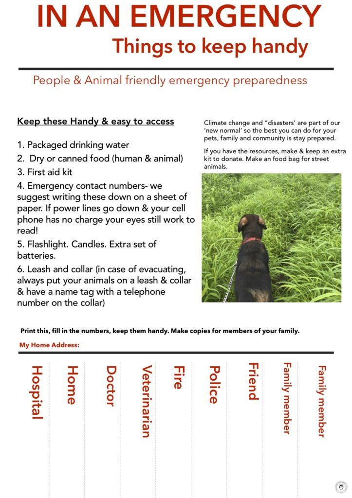 climate change emergency measures for pets 