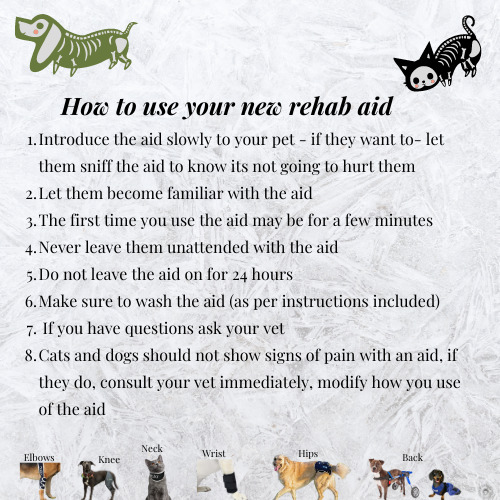 how to use a rehab aid for a dog 