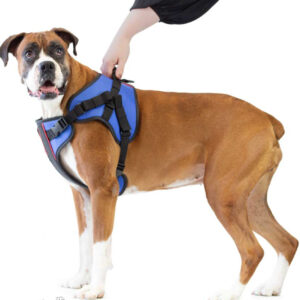 front lift harness for dogs