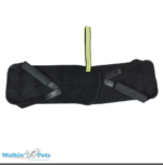 pelvic bone support for dogs