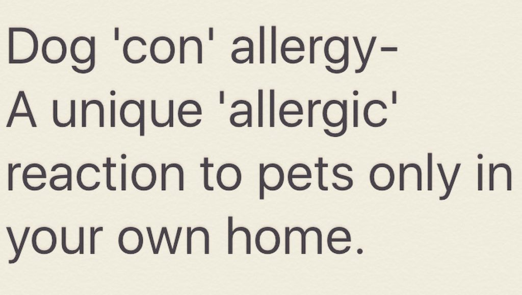 dog allergy reasons 