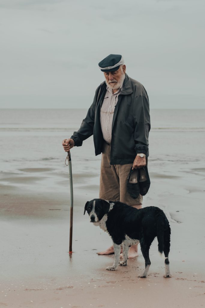 senior dog with senior citizen at the beach