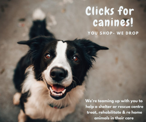 Supports-Braces canine charity center