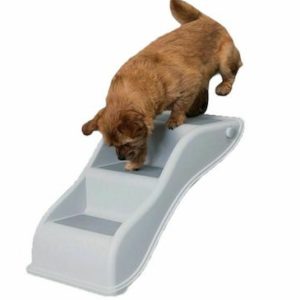 pet stairs for senior dogs