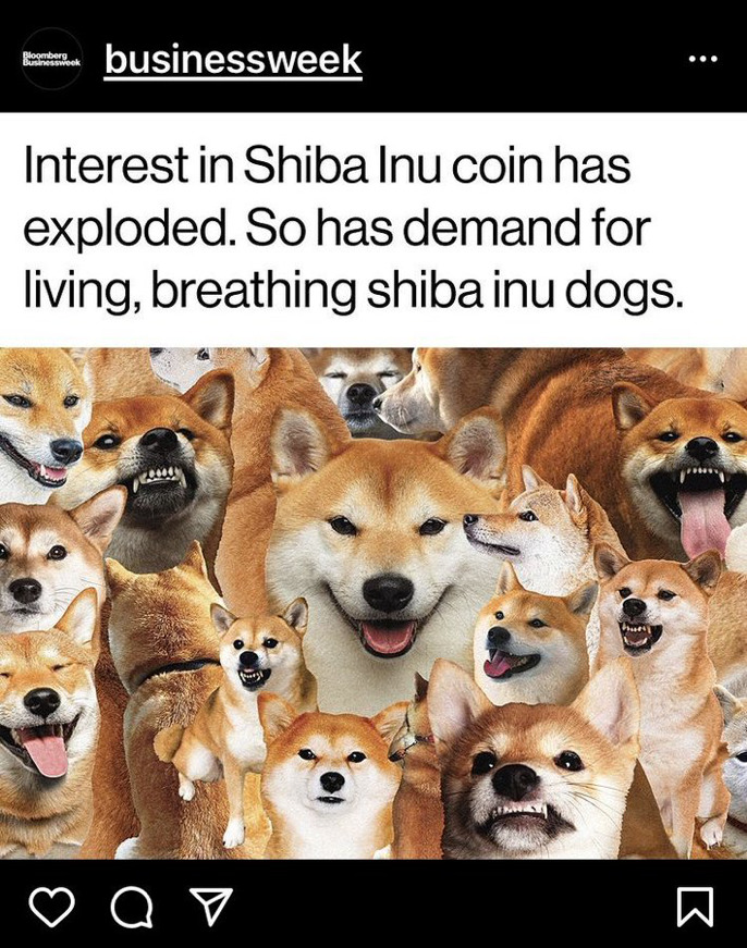 Business Week post on Instagram Shiba Inu cryptocurrency