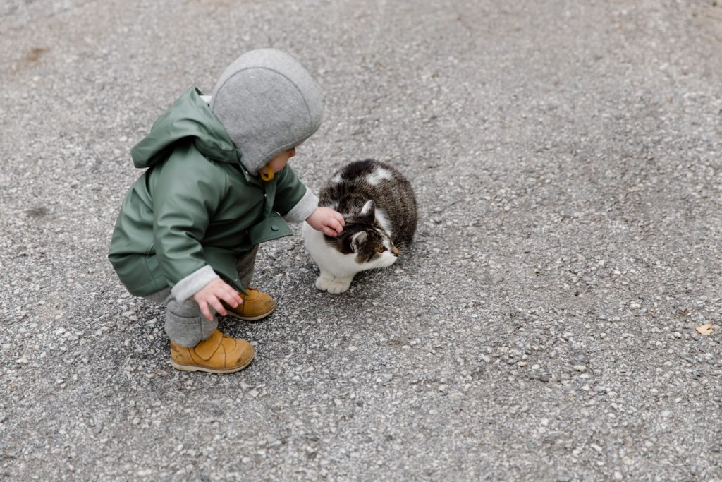 baby and kitten playing