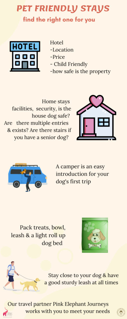 dog vacation rentals and travel 