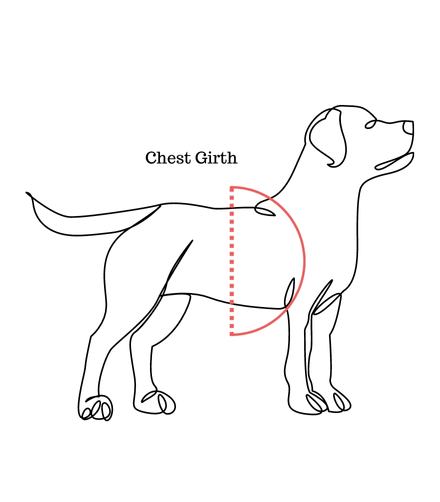 measure chest girth of dog