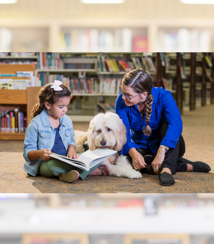 dogs are calming for students who experience student stress in schools 