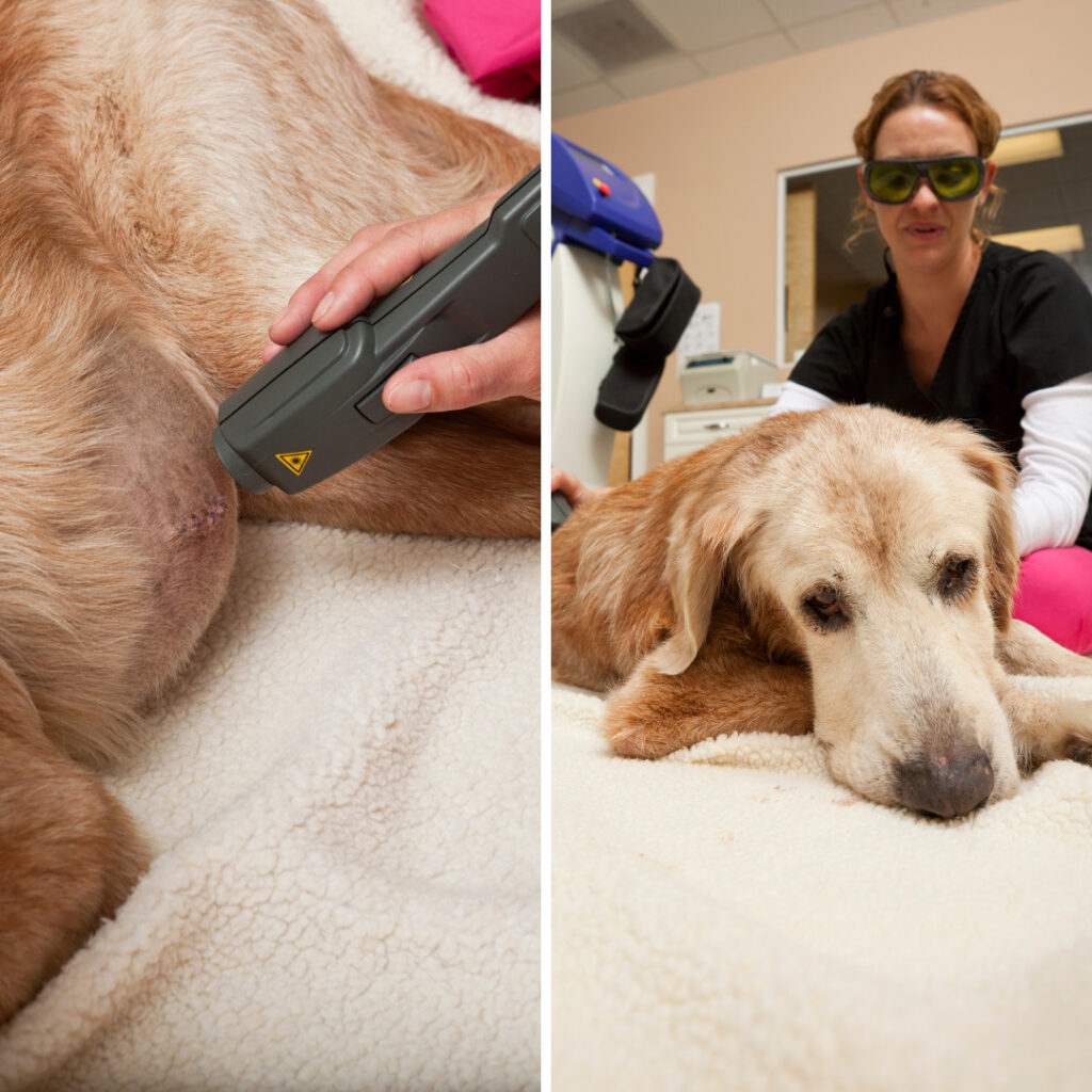 laser therapy for post surgery