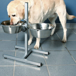 elevated dog bowl feeding stand