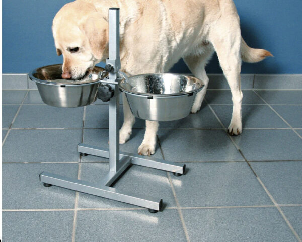elevated dog bowl feeding stand