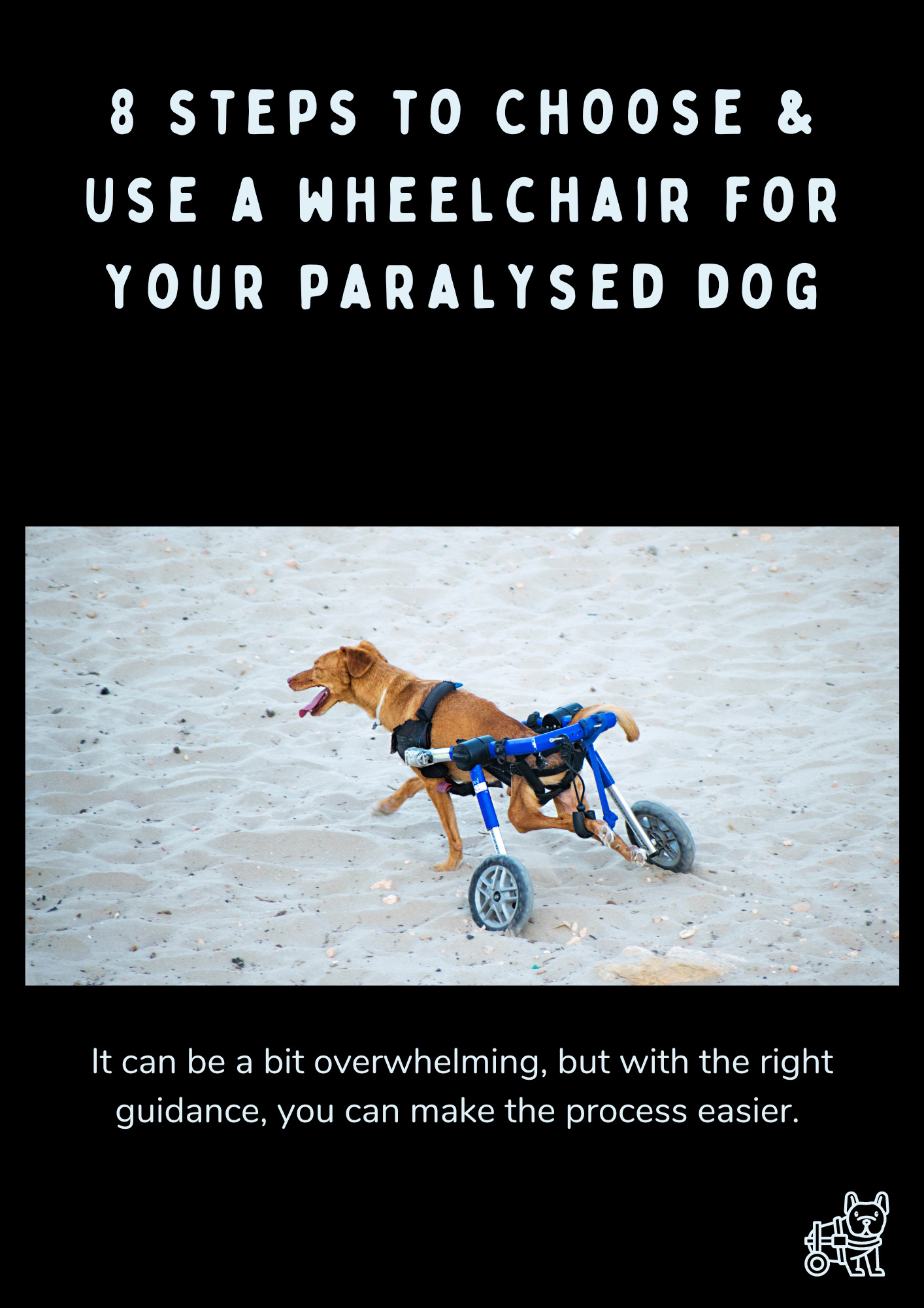 how to choose & use a wheelchair for my dog