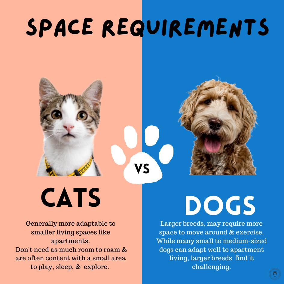Best dogs for sales cats and apartments