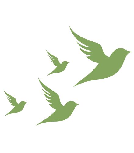 birds are sentinels of pollution